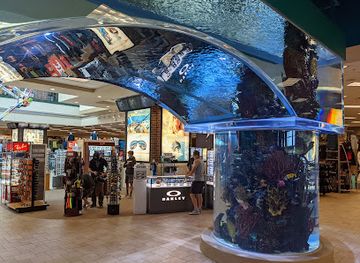 utah/snowbird/shop/scheels