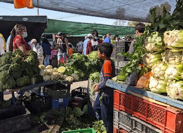 chile/aconcagua-valley/shop/feria-mayorista-afema