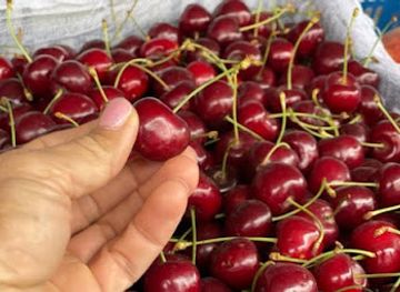 uzbekistan/teshik-kul-lake/shop/kundalik-ehtiyoj-mollari