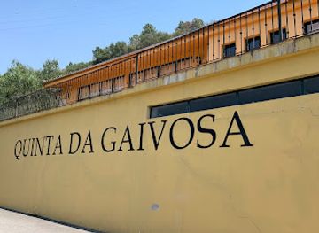 portugal/serra-do-marao/shop/alves-de-sousa-douro-and-port-wines-quinta-da-gaivosa