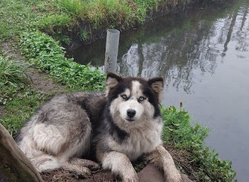 ecuador/papallacta-hot-springs/shop/pesca-deportiva-ukumary