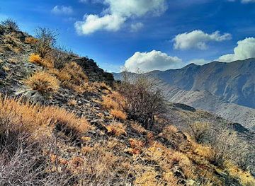 uzbekistan/nuratau-mountains/shop/ancient-petroglyphs-in-the-nuratau-mountains