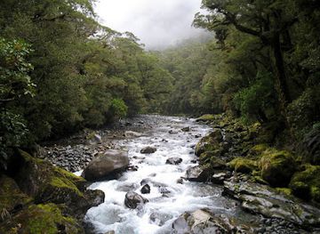 new-zealand/milford-sound/shop/the-chasm-viewing-bridge