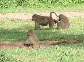 kenya/marsabit-national-park/shop/marsabit-national-park