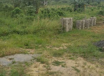 cameroon/bimbia-beach/shop/limbe-half-mile