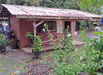 palau/ngchesar/shop/demi-s-store