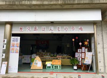 japan/yakushima/shop/yakushima-honmono-ichiba