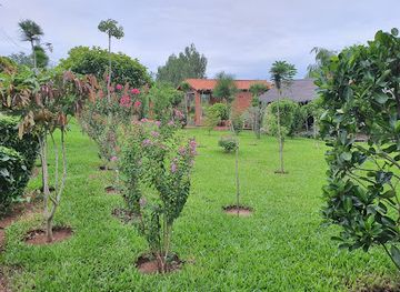 paraguay/cordillera-hills/shop/mercado-4