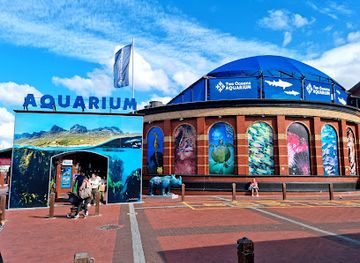 south-africa/western-cape/shop/aquarium-gift-shop