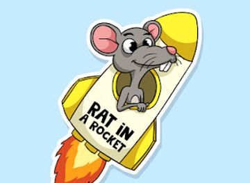 belgium/nieuwpoort/shop/rat-in-a-rocket