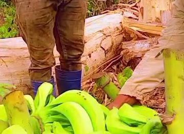 cameroon/north-region/shop/boutique