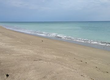 florida/ft-pierce/shop/up-from-the-deep-shoppes-nautical-antiques-sports-memorabilia-more