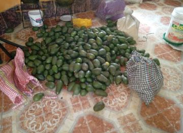 peru/ancash/shop/mercadito-de-carhuaz