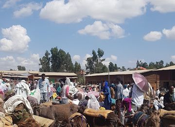 ethiopia/gojjam/shop/bichena-gebeya