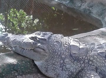 burkina-faso/cascades/shop/parc-urbain-bangr-weoogo