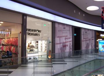 cyprus/paphos-forest/shop/prehistoric-treasures-paphos