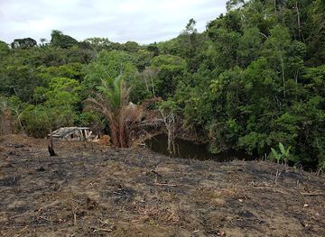 brazil/atlantic-forest/shop/una-biological-reserve