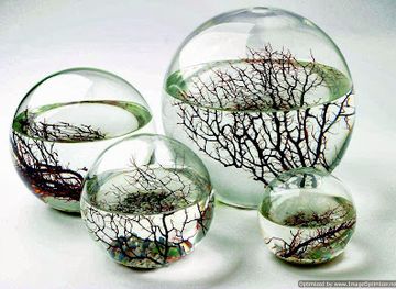 poland/czestochowa/shop/ecosphere-polska