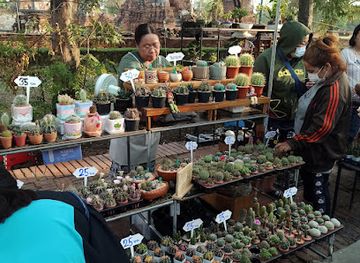 thailand/ayutthaya/wat-mahathat/shop/ayutthaya-night-market