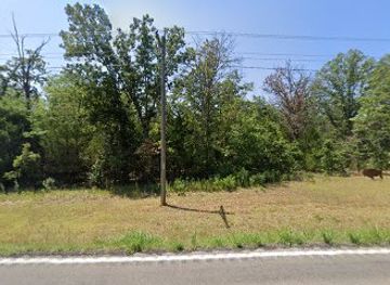 missouri/stockton-lake/shop/mcneal-art-work