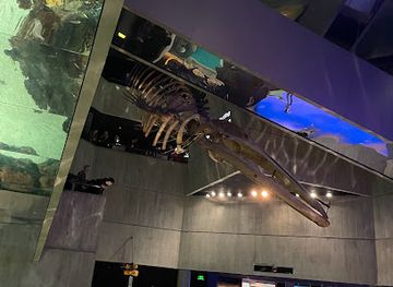 maryland/baltimore/inner-harbor/shop/national-aquarium-gift-shop