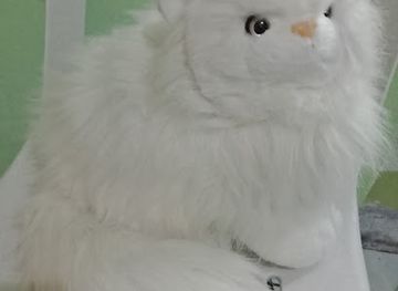 philippines/baguio/shop/be-mine-stuff