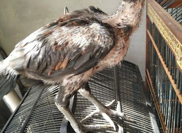 indonesia/south-kalimantan/shop/rahmilaw-shop