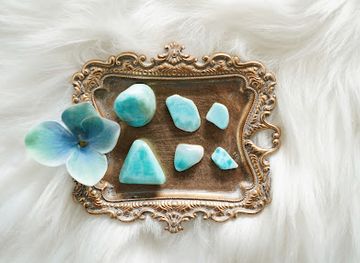 wisconsin/madison/state-street/shop/mimosa-books-gifts