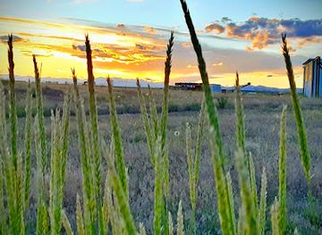 wyoming/wind-river-basin/shop/b-k-shoreline-stop