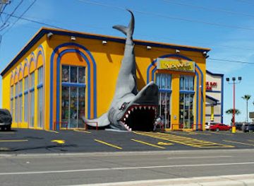 texas/padre-island-national-seashore/shop/jaws-beachworld