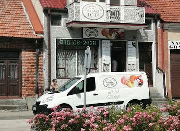 poland/wiślica/shop/tradycja-i-smak-lody-balaga-wytwornia-lodow
