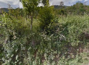 bhutan/pemagatshel/shop/kd-tshongkhang