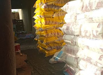 togo/mango/shop/esop-mango