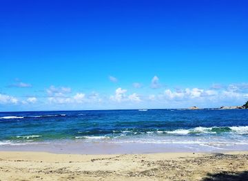 dominica/saint-patrick/shop/capco-caribbean-agro-producers-corp