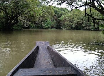 bangladesh/ratargul-swamp-forest/shop/ratargul-swam-forest-shaheber-bazar-turn