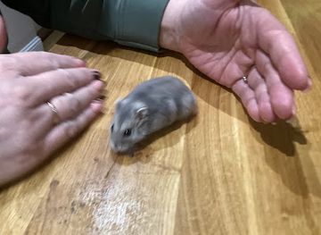 zimbabwe/gweru/shop/totally-cute-baby-closet