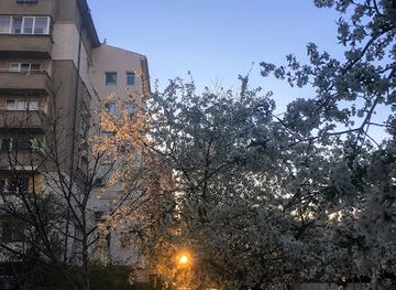 bulgaria/vitosha-mountain/shop/taralezh-ko
