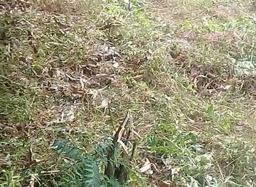 bhutan/mongar-district/shop/sangay-dorji-general-shop