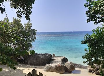 jamaica/north-coast/shop/coconut-grove-shopping-complex