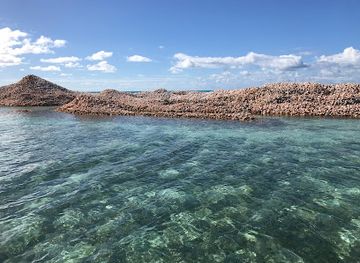 british-virgin-islands/anegada/shop/conch-island