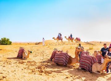 united-arab-emirates/dubai-desert-conservation-reserve/shop/dubai-desert-conservation-reserve