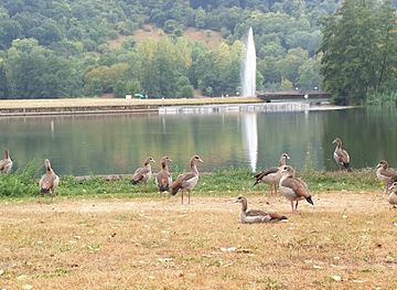 luxembourg/echternach-lake/shop/roman-villa-echternach