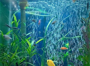 sri-lanka/kitulgala/shop/universal-aqua