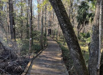 florida/big-cypress-national-preserve/shop/big-cypress-boardwalk-trail-goethe-state-forest