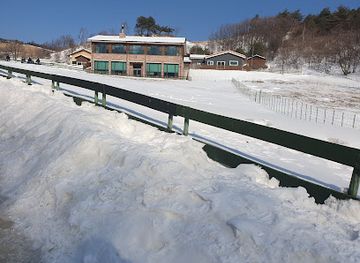 south-korea/pyeongchang-ski-resorts/shop/daegwallyeong-sheep-farm