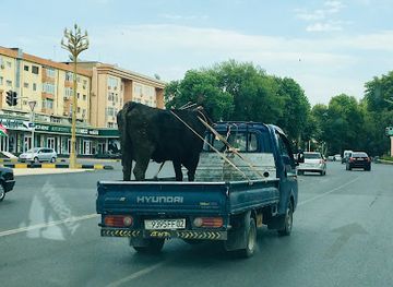tajikistan/khujand/shop/dzhavokhir