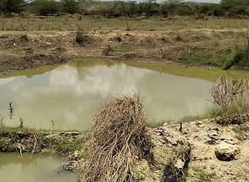 kenya/mount-kenya/shop/tana-river-county