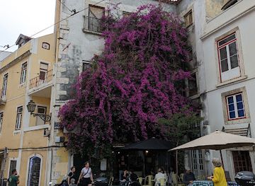 portugal/lisbon-coast/shop/loja-do-souvenir