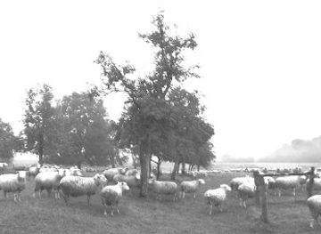 netherlands/vechtstreek/shop/kywie-wijnkoelers