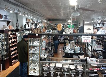 illinois/evanston/shop/dave-s-down-to-earth-rock-shop